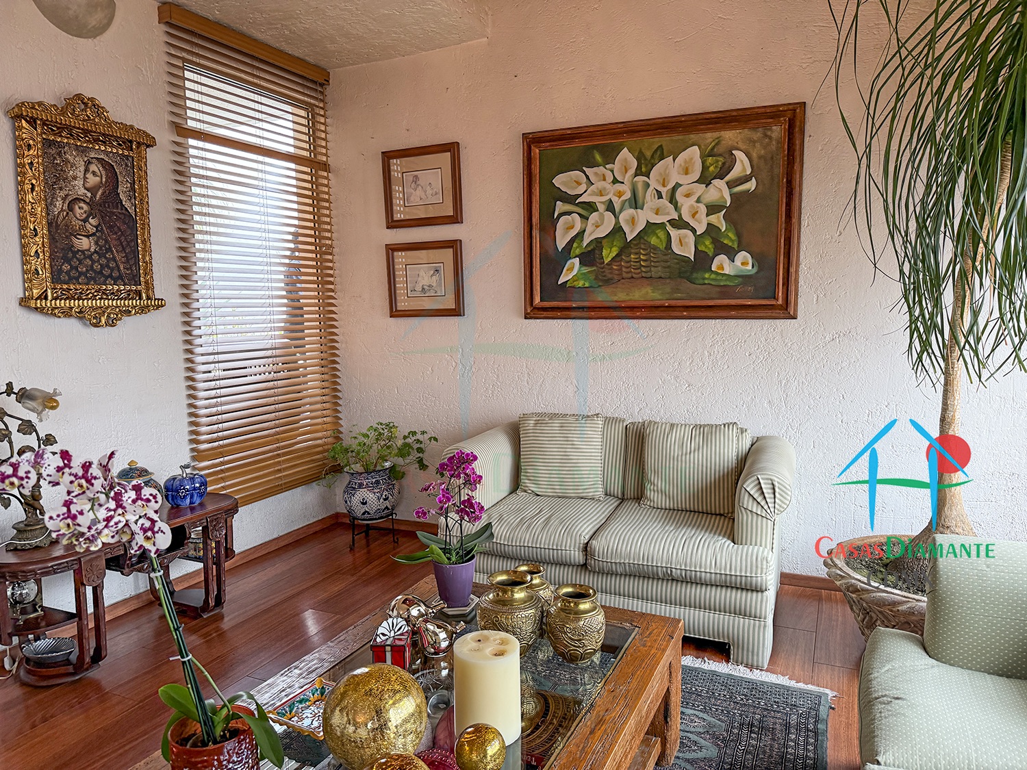 Desierto de los Leones Casa Claudia EHIB - Sala 5 Desierto de los Leones Casa Claudia EHIB - Sala 5